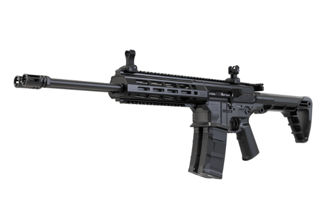 Gilboa DBR Snake