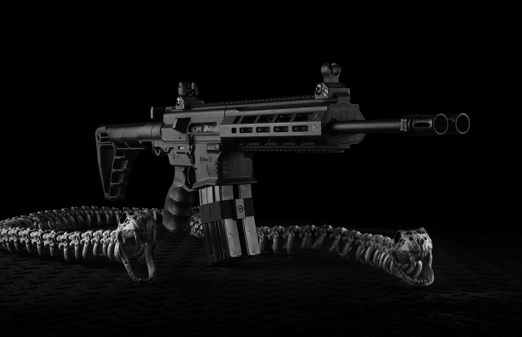 Gilboa Snake Double Barrel AR-15 Finally For Sale?