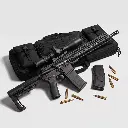 308ss-2.webp