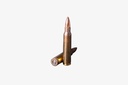 Ammunition .223 REM 55gr