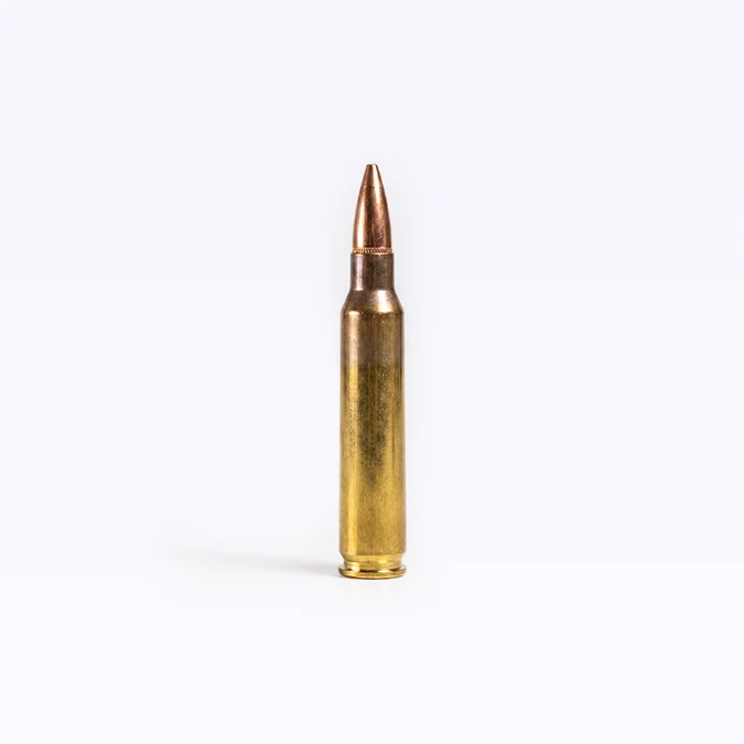 .223 REM 55GR FMJBT PREMIUM RANGE AMMO - Large Can (500 Rounds) 