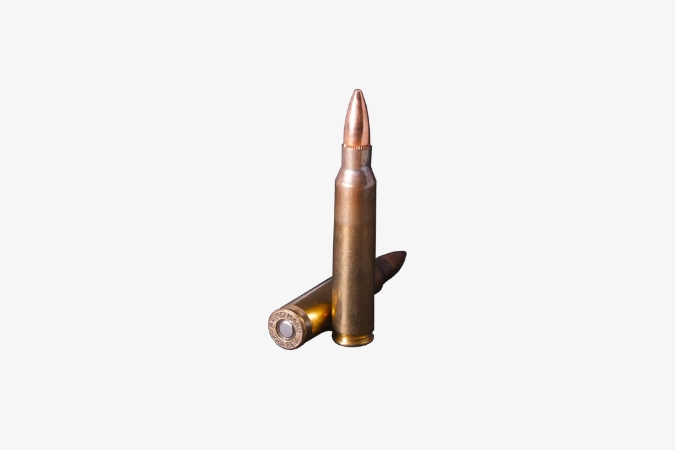 Ammunition .223 REM 55gr