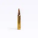 .223 REM 55GR FMJBT PREMIUM RANGE AMMO - Large Can (500 Rounds) 