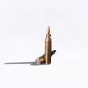 .223 REM 55GR Premium Range - Boxed Case (500 Rounds) 